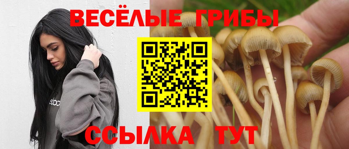 Галлюциногенные грибы MAGIC MUSHROOMS  Вход с VPN  Псилоцибиновые грибы Psilocybe  Ирбит 